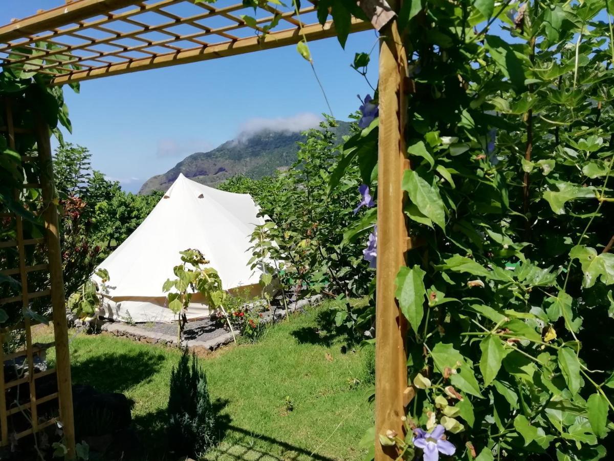 Granny'S Farm Guest House Sao Vicente  Exterior photo
