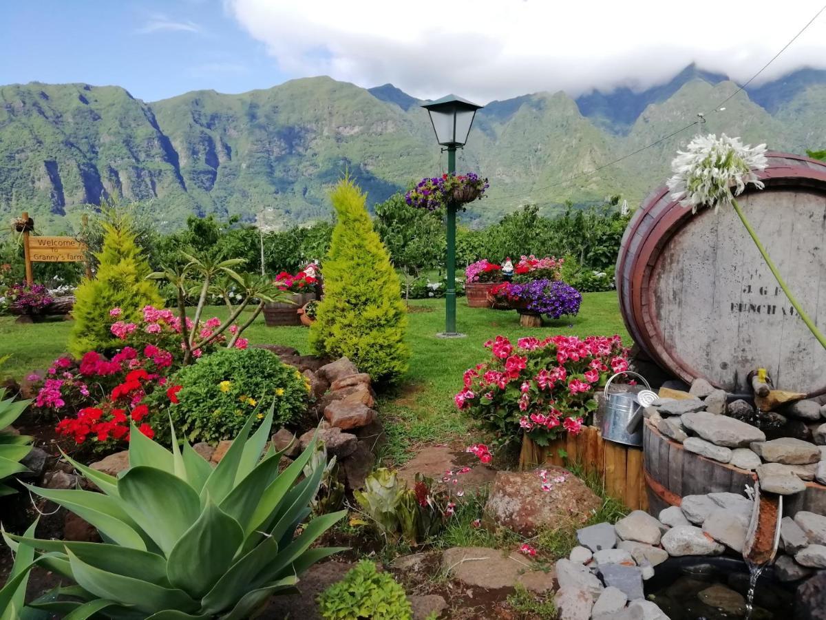 Granny'S Farm Guest House Sao Vicente  Exterior photo