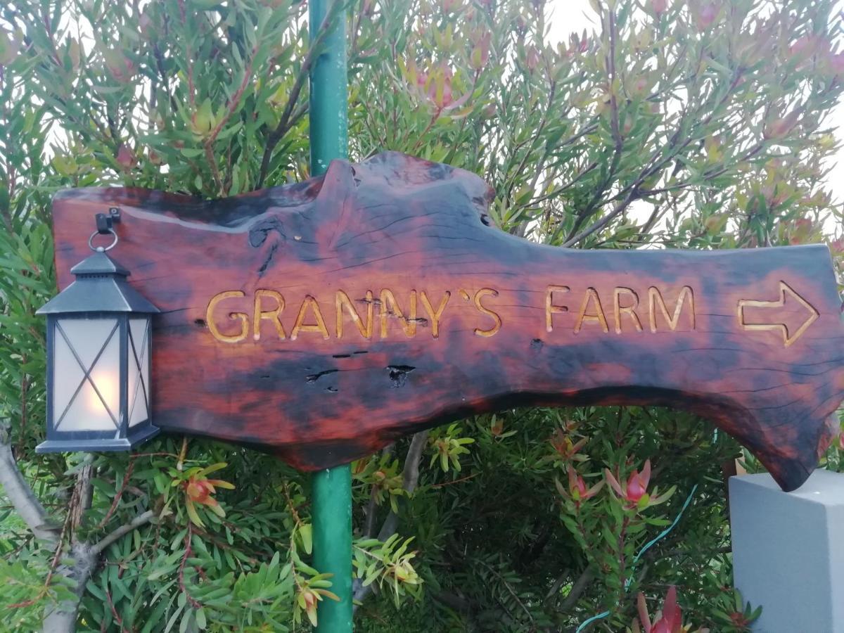 Granny'S Farm Guest House Sao Vicente  Exterior photo
