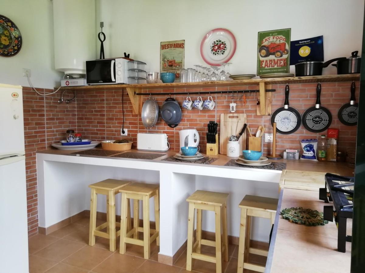 Granny'S Farm Guest House Sao Vicente  Exterior photo