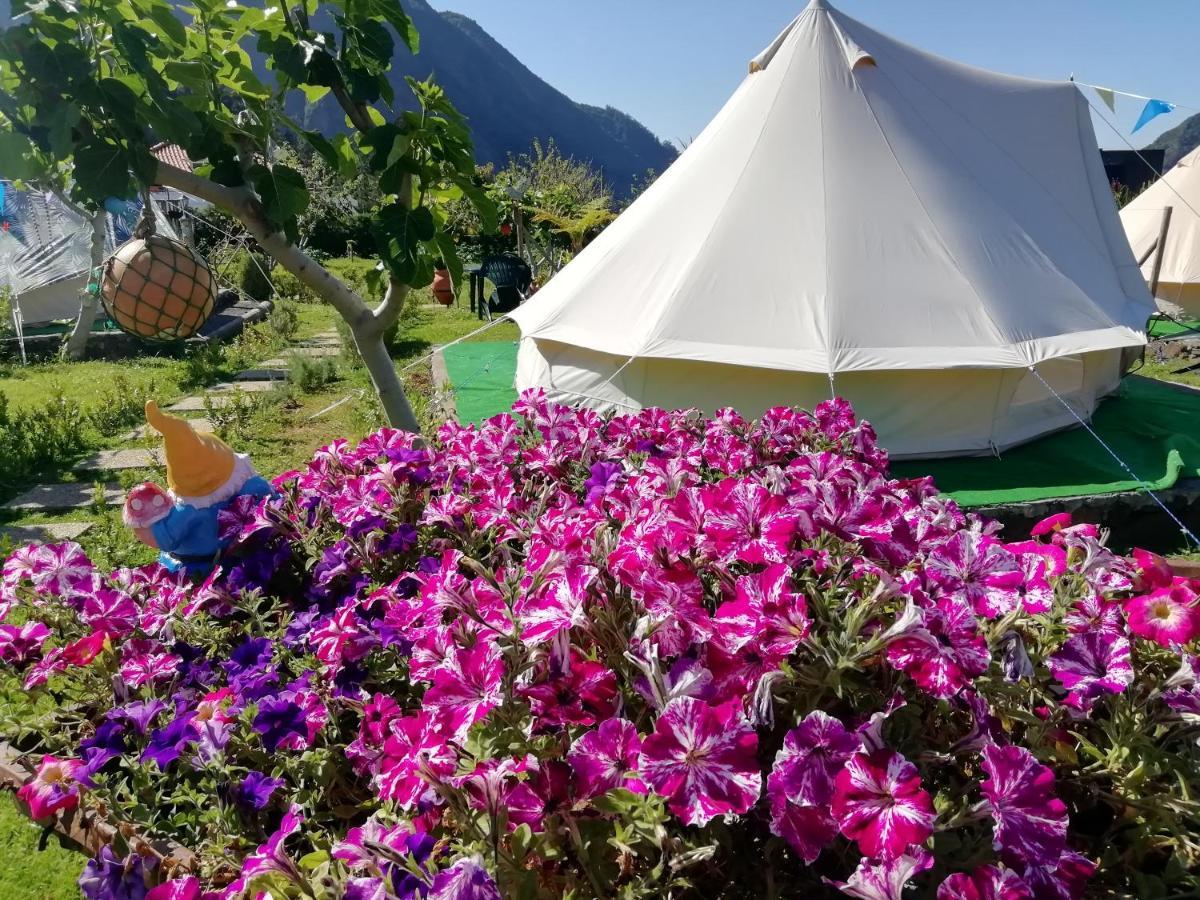 Granny'S Farm Guest House Sao Vicente  Exterior photo