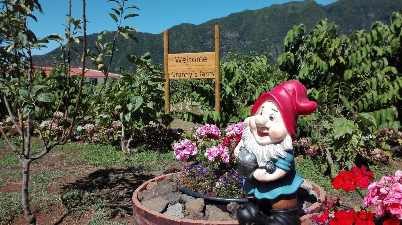 Granny'S Farm Guest House Sao Vicente  Exterior photo